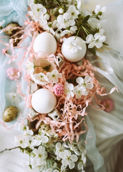 White and speckled quail eggs nestled in coral paper shreds with cherry blossom