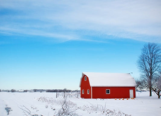 Red barn with white roof standing in a snow-covered field under a blue sky