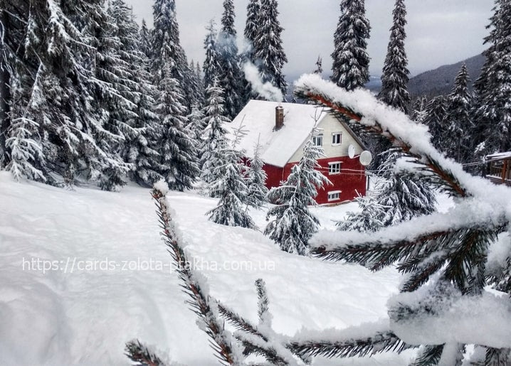 Red wooden cabin in a snowy pine forest with a frosted branch in the foreground