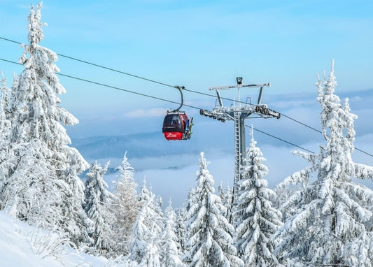 Red cable car gondola crossing snow-covered pine forest toward mountain peaks