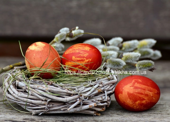 Marmoriert rote Ostereier im Nest mit Weidenkätzchen und Gras