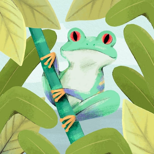 Red-eyed tree frog clinging to a green stem surrounded by large leaves