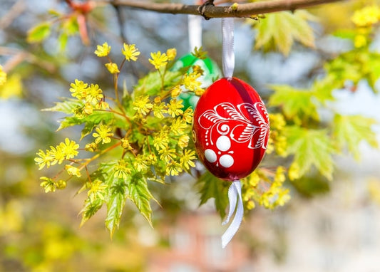 Red egg with a white folk pattern hanging by ribbon from a branch with yellow spring blossoms