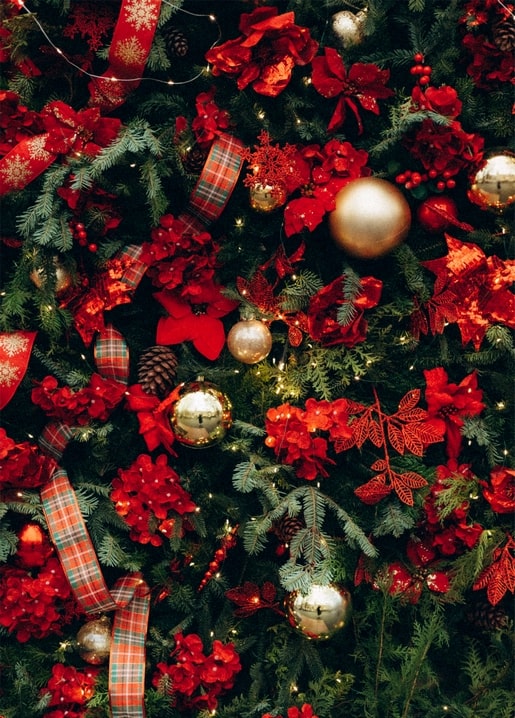 Close-up of a Christmas tree with red poinsettias, gold baubles, and plaid ribbon