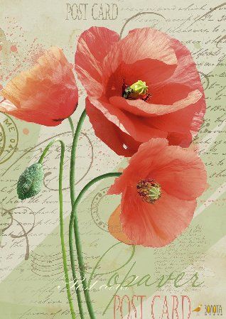 Illustrierte Postkarte mit roten Mohnblumen vor altem Schriftzug-Hintergrund