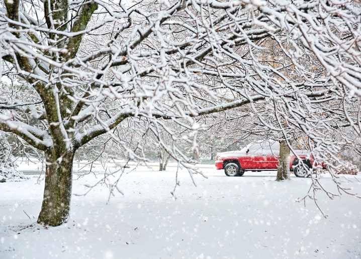 Red pickup truck parked in the snow behind frosted tree branches