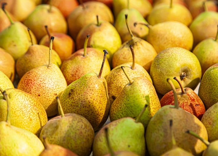Close-up of ripe pears in golden, green, and red hues