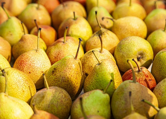 Close-up of ripe pears in golden, green, and red hues