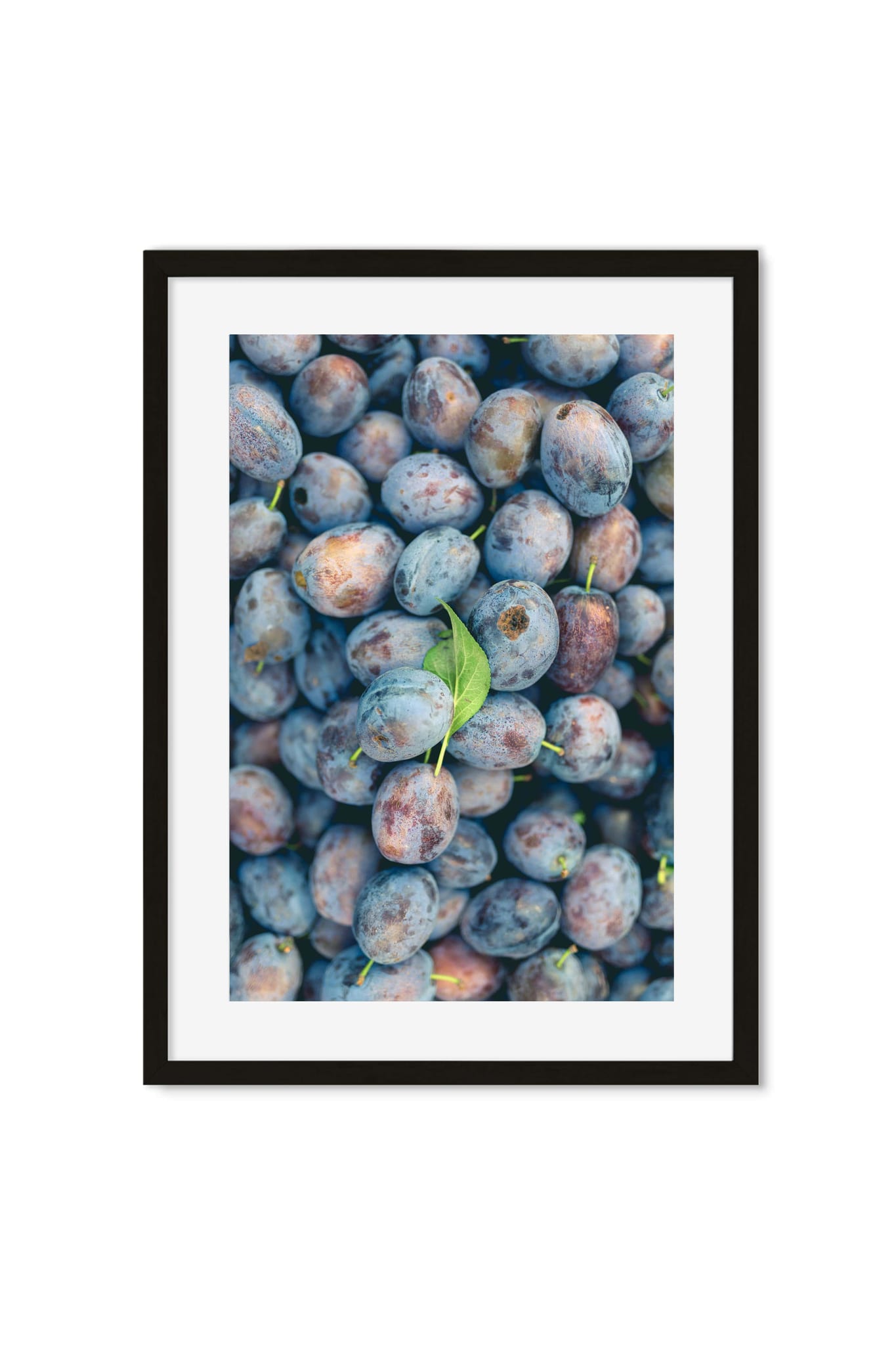 Overhead close-up of ripe blue-purple plums piled together with a green leaf on top