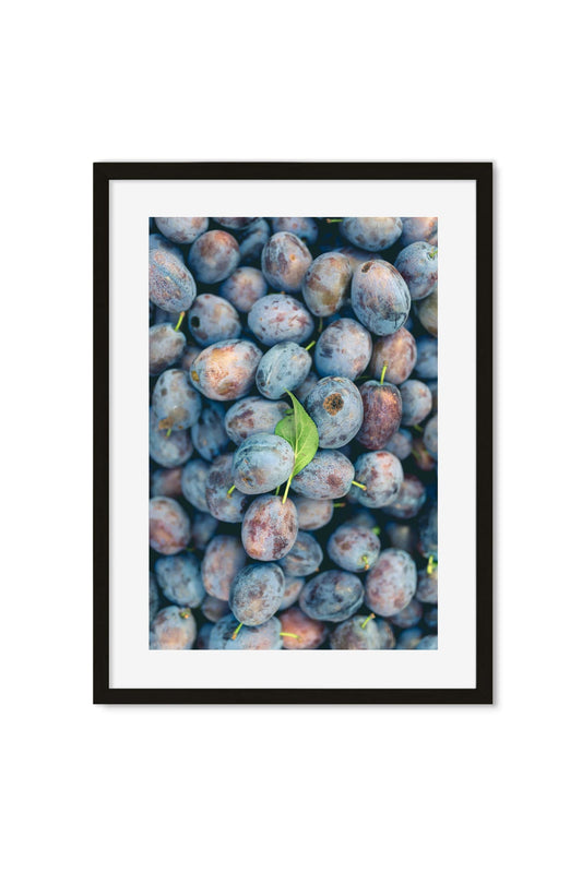 Overhead close-up of ripe blue-purple plums piled together with a green leaf on top