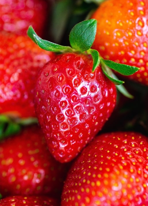 Nahaufnahme reifer Erdbeeren mit glänzender roter Haut und Kernen im Fokus