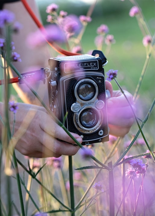 Руки тримають вінтажну камеру Rolleiflex на червоному ремінці серед лілових польових квітів