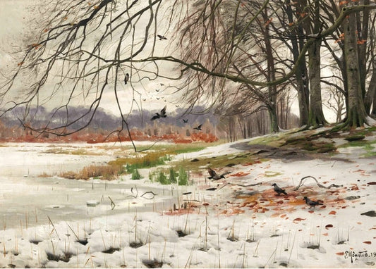 Rooks flying and foraging along a half-frozen winter park shoreline