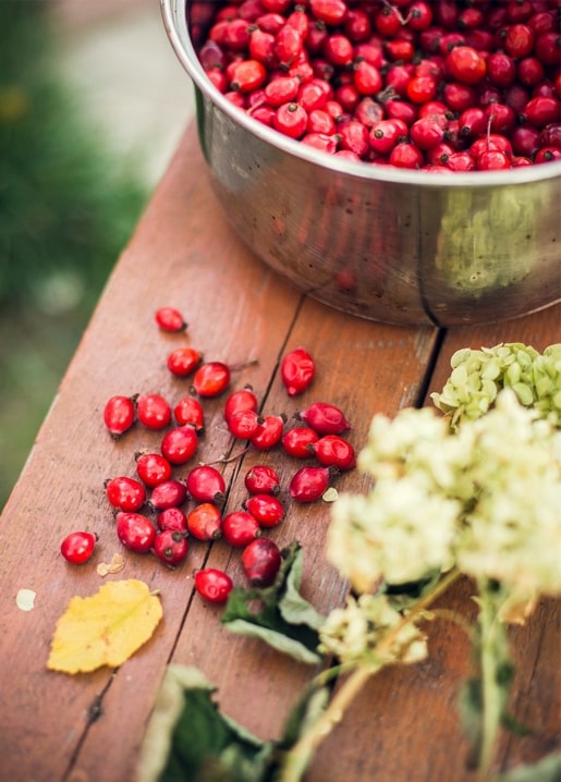 Ripe rosehips spilling from a metal bowl onto a wooden table with dried hydrangea