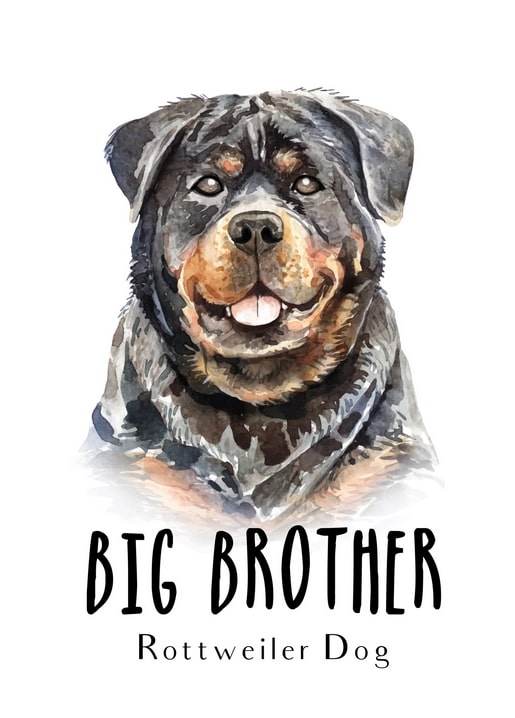 Aquarellillustration eines lächelnden Rottweilers mit schwarz-braunem Fell, Bildunterschrift „Big Brother“.