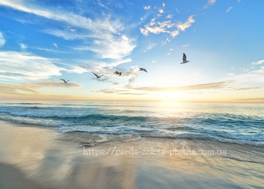 Möwen fliegen über das Meer bei Sonnenaufgang über einem leeren Strand