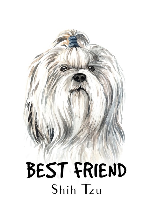 Aquarell-Postkarte mit Shih Tzu und Zopf unter dem Schriftzug „Bester Freund“