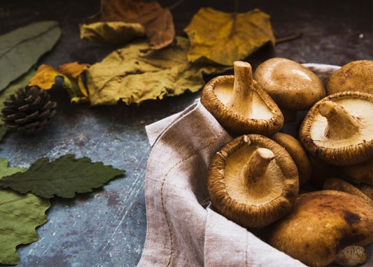 Basket of shiitake mushrooms with dried autumn leaves and a pinecone on a dark table