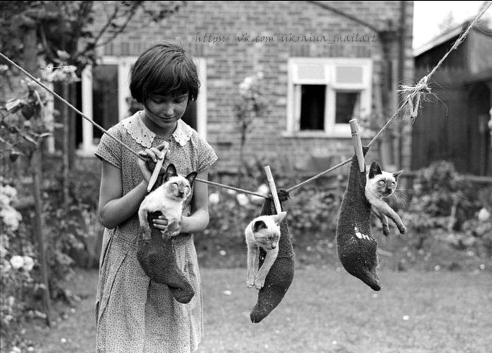 Girl watches three Siamese kittens in knitted pouches pinned to a clothesline