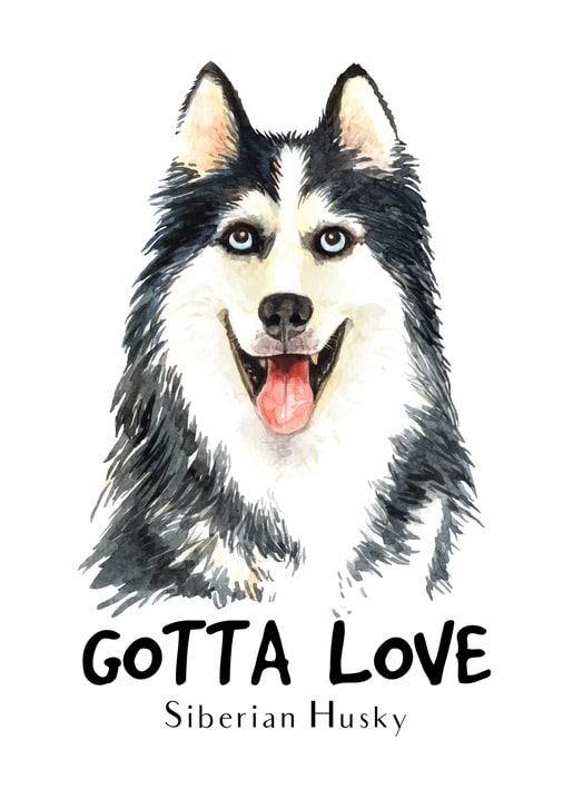 Aquarellillustration eines Sibirischen Huskys mit herausgestreckter Zunge, Bildunterschrift „Gotta Love“.