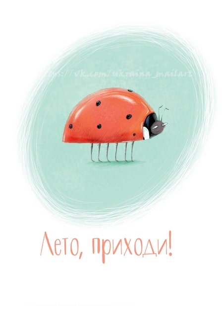 Illustrated red ladybug with black spots on a scribbled turquoise circle background