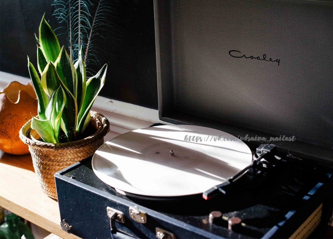 Bogenhanf im Korb neben einem Vintage-Koffer-Plattenspieler mit weißer Schallplatte