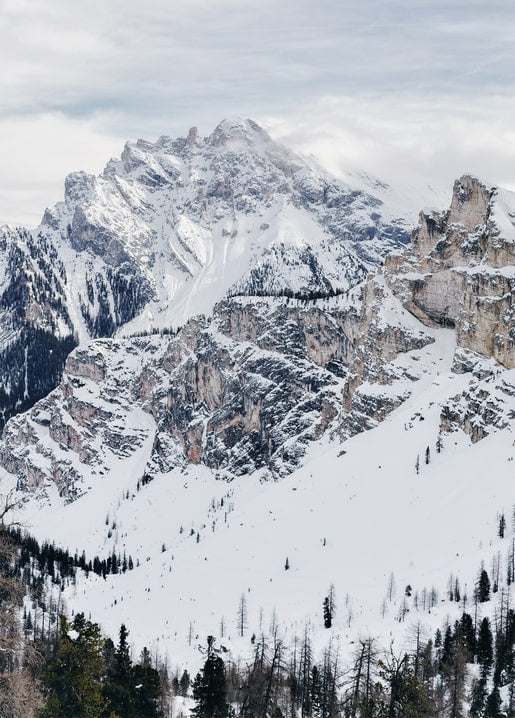 Schneebedeckte Alpengipfel über einem bewaldeten Tal unter wolkigem Himmel