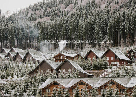 Snow-covered wooden chalets in a Carpathian village with smoke rising from a chimney