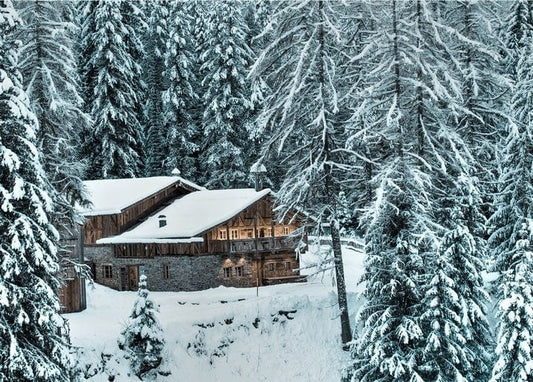 Wooden chalet with a snow-covered roof nestled among snowy pine trees