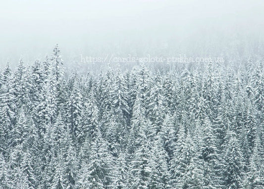 Verschneiter Tannenwald, der im dichten Winternebel verschwindet