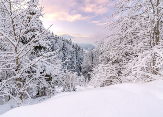 Snow-covered trees and a distant mountain peak under a pastel pink dawn sky