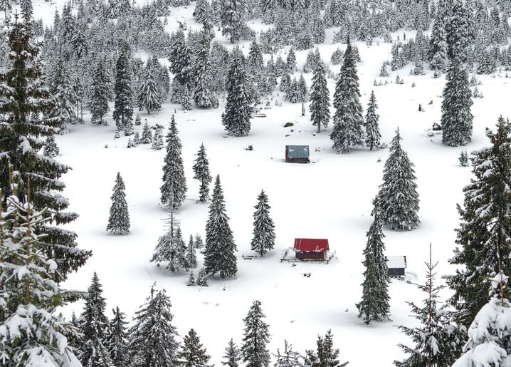 Luftaufnahme eines verschneiten Fichtenwaldes mit kleiner Hütte mit rotem Dach