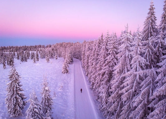 Person geht allein auf verschneiter Waldstraße unter rosa Morgenhimmel