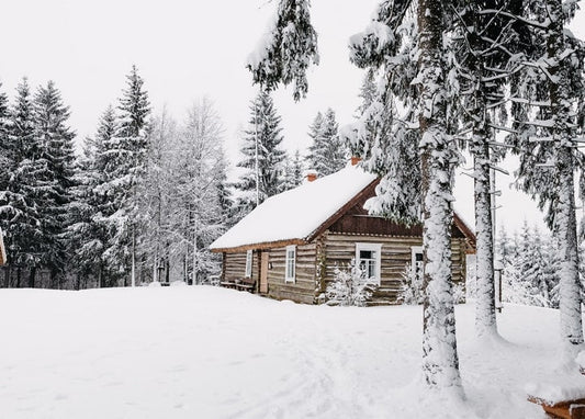 Snow-covered wooden log cabin surrounded by frosted pine trees in a winter forest