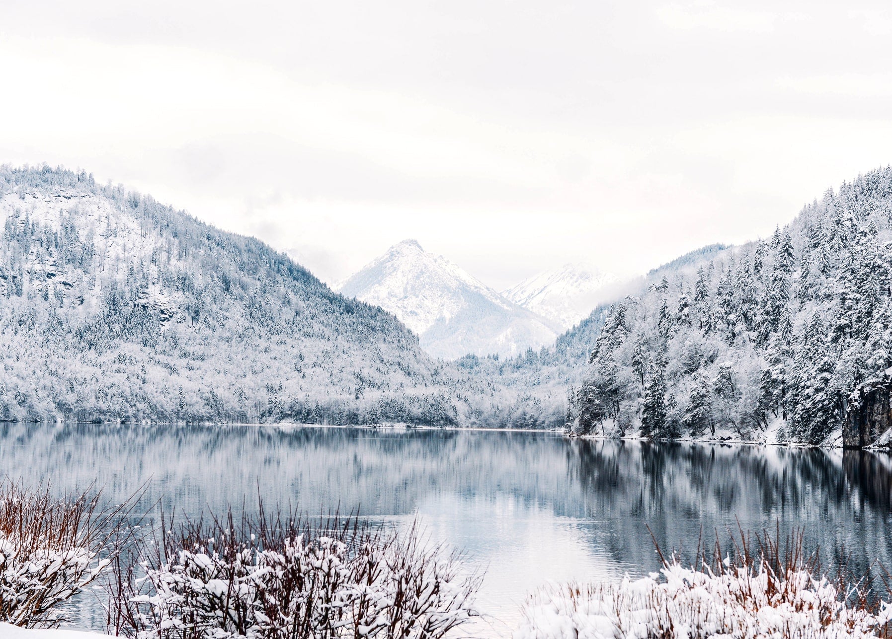 Verschneite Berge und Kiefernwald spiegeln sich in einem ruhigen Wintersee