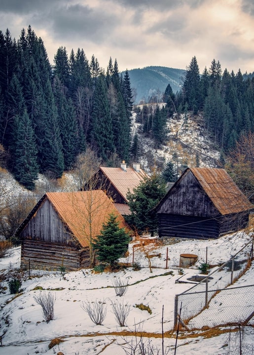 Snow-covered wooden cabins beside a pine forest in a mountain village