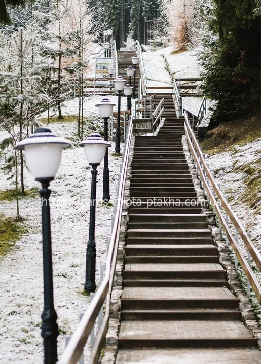 Snow-covered wooden staircase lined with lampposts in a Carpathian park