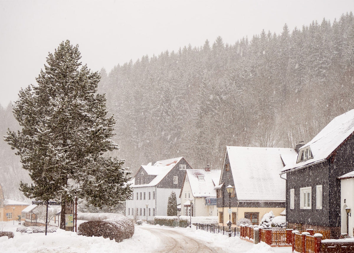 Snow-covered village street with a tall pine tree during snowfall