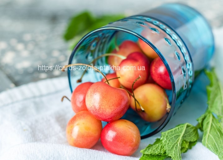 Pale pink cherries spilling from a tipped blue glass onto white linen with mint leaves