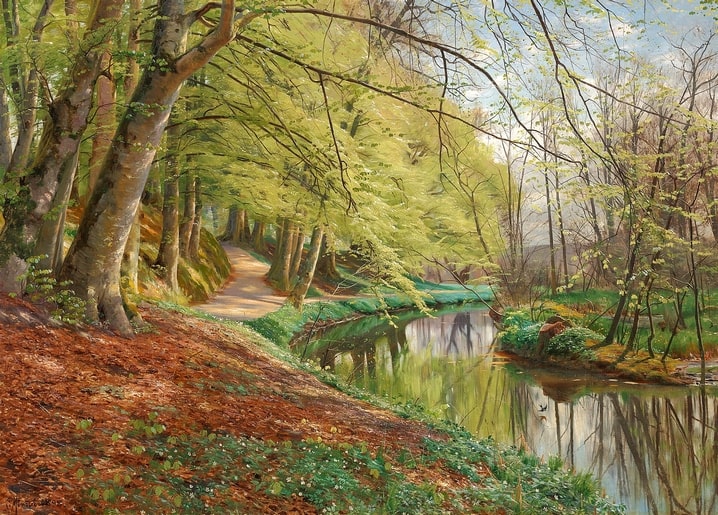 Sunlit path winding beside a stream through young beech trees with translucent spring leaves