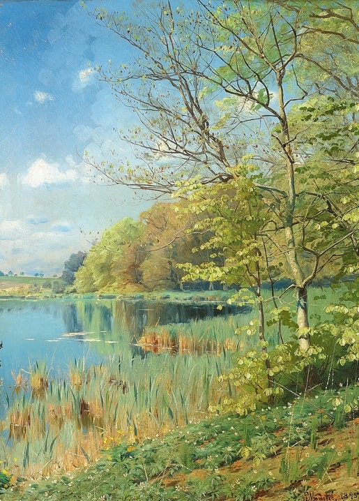 Birch trees in full spring leaf along a still lake with reeds and wildflowers