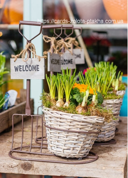 Wicker baskets of blooming spring bulbs with hand-tied "Welcome" signs on a garden cart