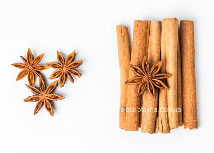 Three star anise pods beside a small bundle of cinnamon sticks on a white background
