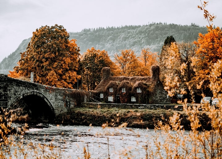 Steinbogenbrücke führt zu einem efeubewachsenen Reetdach-Cottage zwischen Herbstbäumen