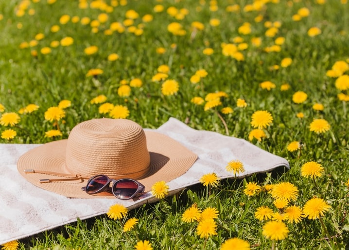 Strohhut und Sonnenbrille auf einer Picknickdecke inmitten einer blühenden Löwenzahnwiese