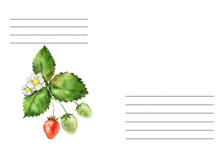 Botanische Illustration eines Erdbeerzweigs mit Blüten und reifenden Früchten