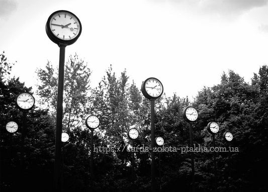 Row of round station clocks on tall poles rising above a black-and-white tree line