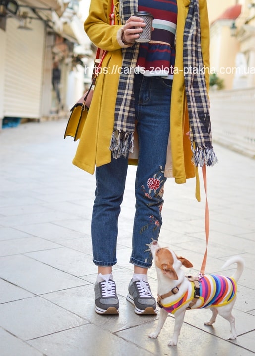 Frau im senffarbenen Mantel und bestickter Jeans mit Chihuahua im Ringelpulli, der nach dem Kaffee schnappt