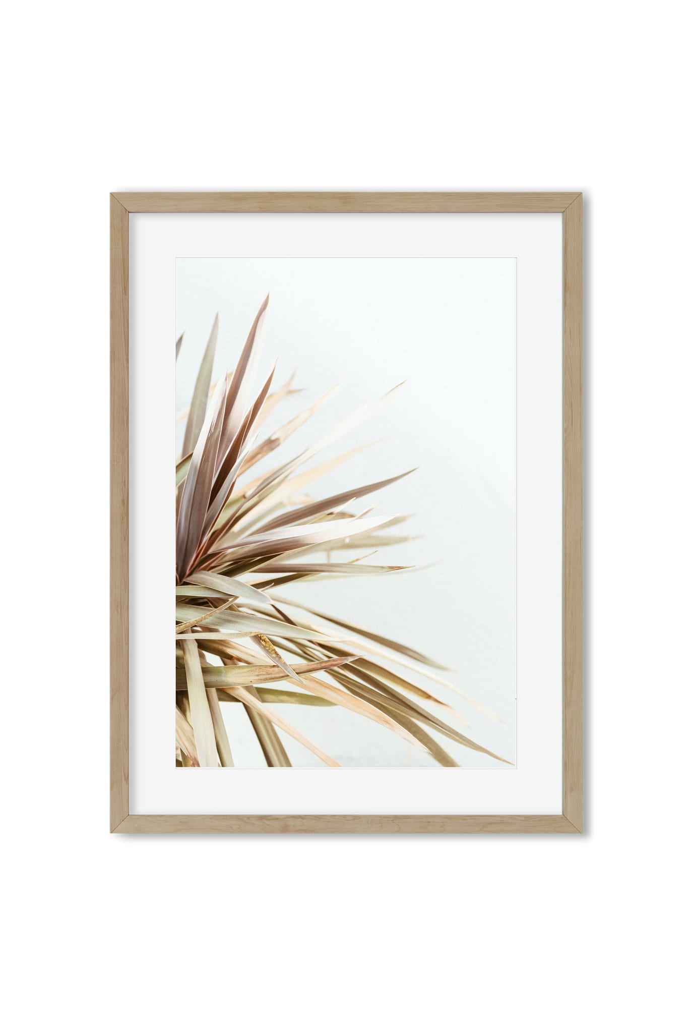 Framed poster of sun-bleached palm leaves in blush and sage tones against a pale backdrop