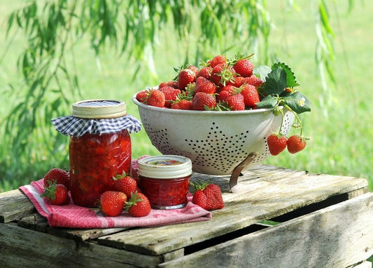 Листівка Літо - Summer postcard / Видавничий дім "Золота Птаха"